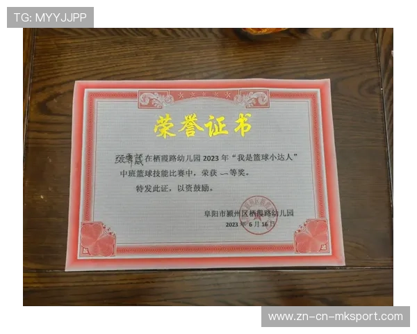 2026年篮球联赛青训营志愿者荣誉证书电子发放系统优化上线，篮球青少年证书