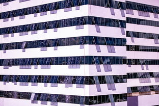 mk体育下载-体育赛事风险管控体系建设，体育赛事风险防范