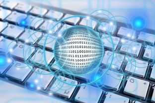 mk体育官方网站-球队分拆:企业化管理中的创新实践,球队分类