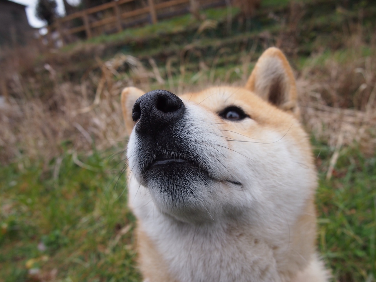 mk体育网址-运动员运动伤害康复技术,运动员伤病康复