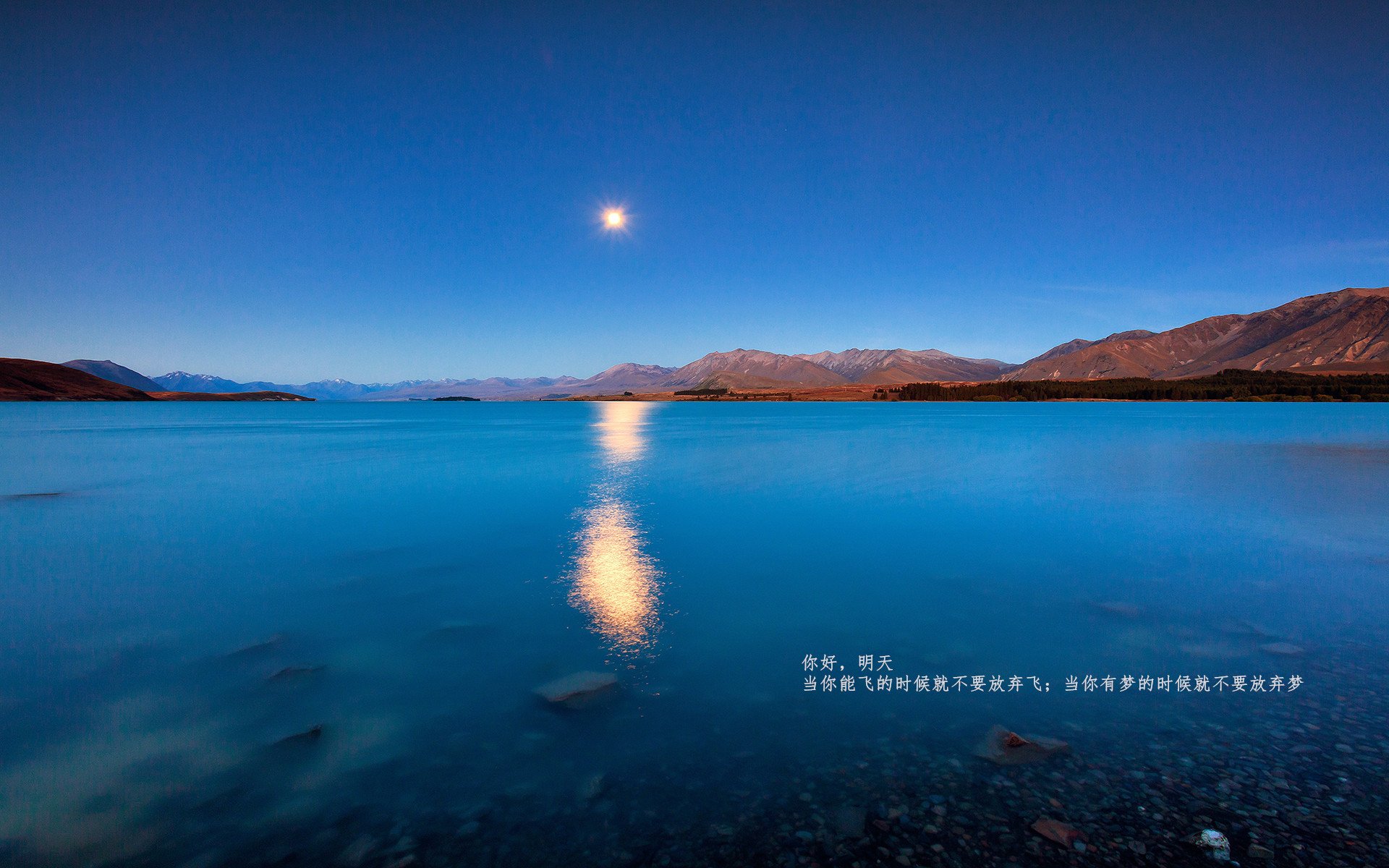 mk体育全站-青少年定向越野课程设计与实施建议,定向越野课程纲要