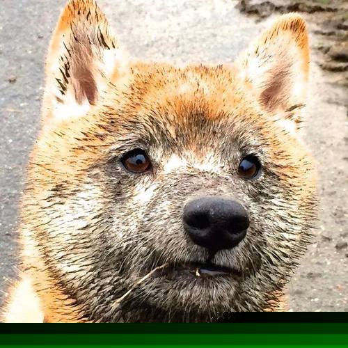 mk体育网址-中国男篮发挥团队精神 力争胜利，中国男篮众人谈