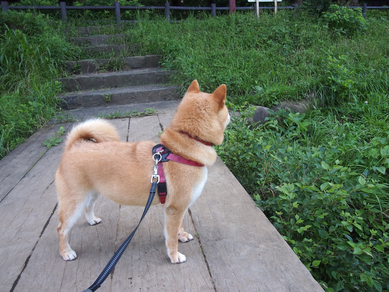 mk体育平台登录入口-二次进攻设计多样造成持续压力,二次进攻犯规吗