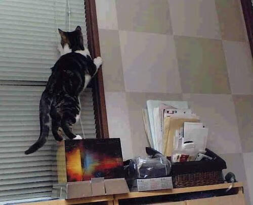 mk体育app-后防失误频率是否决定球队最终排名走势,后防最好的球队