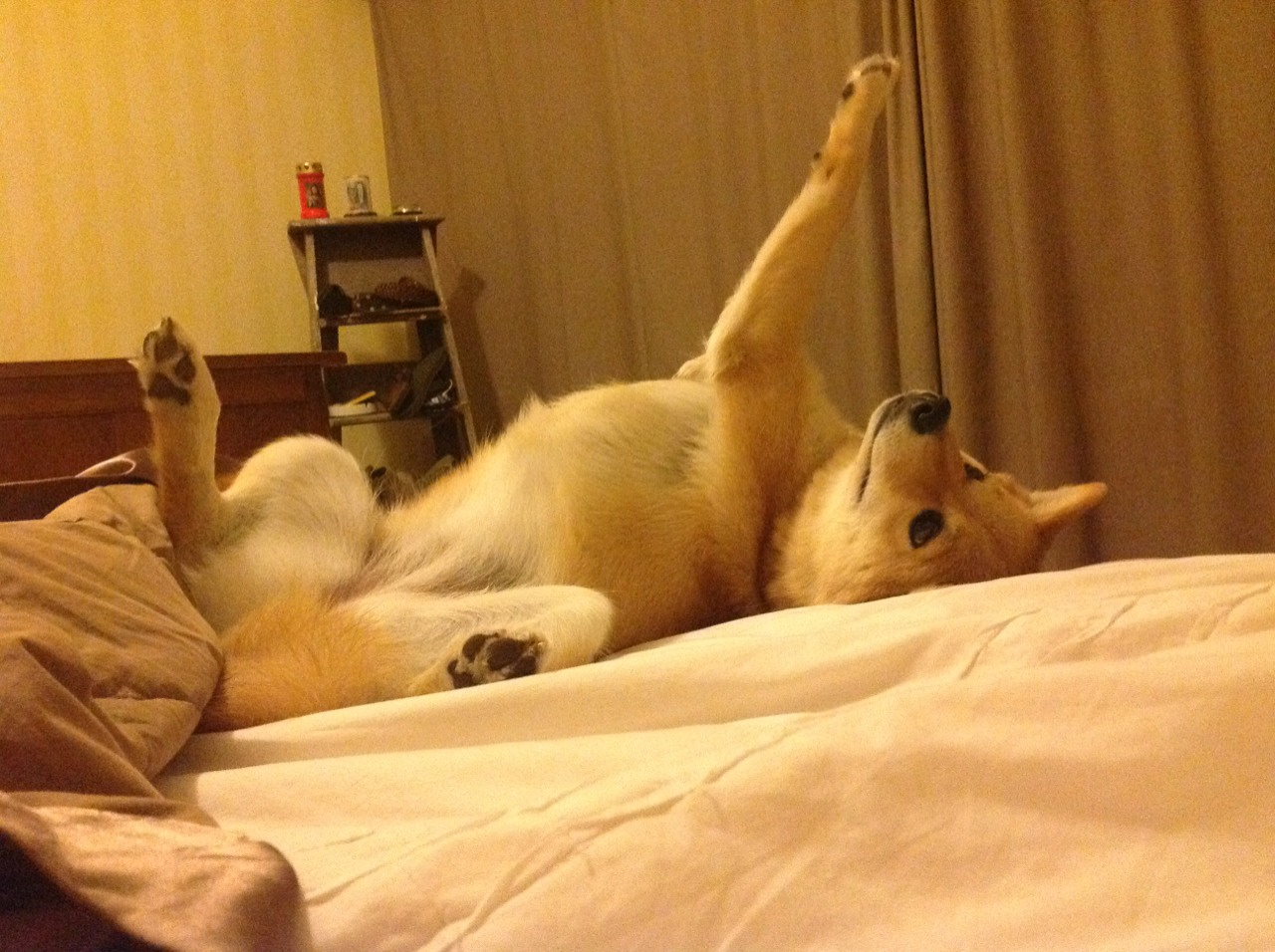 mk体育网址-国家队得分体系如何建立多点输出模型