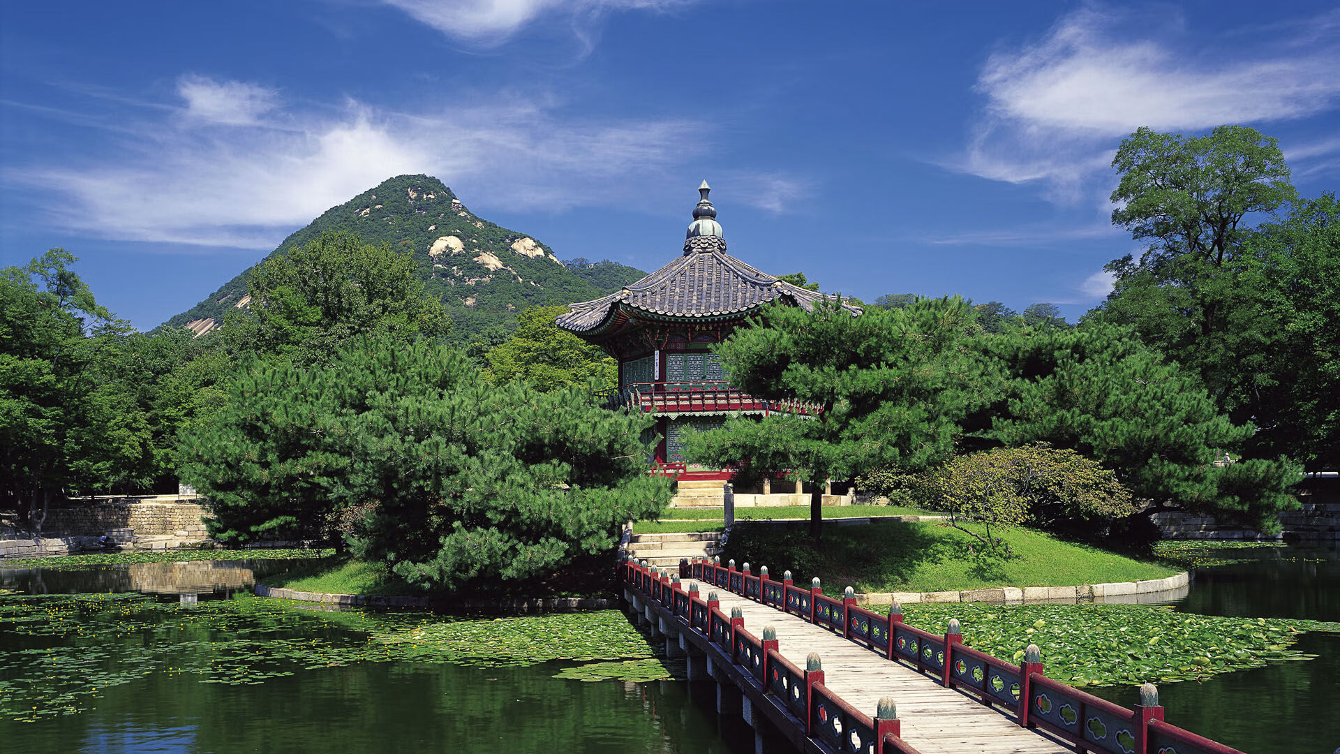 mk体育平台网页版入口-法兰克福高强度拼抢限制对手节奏变化,法兰克福伤停情况