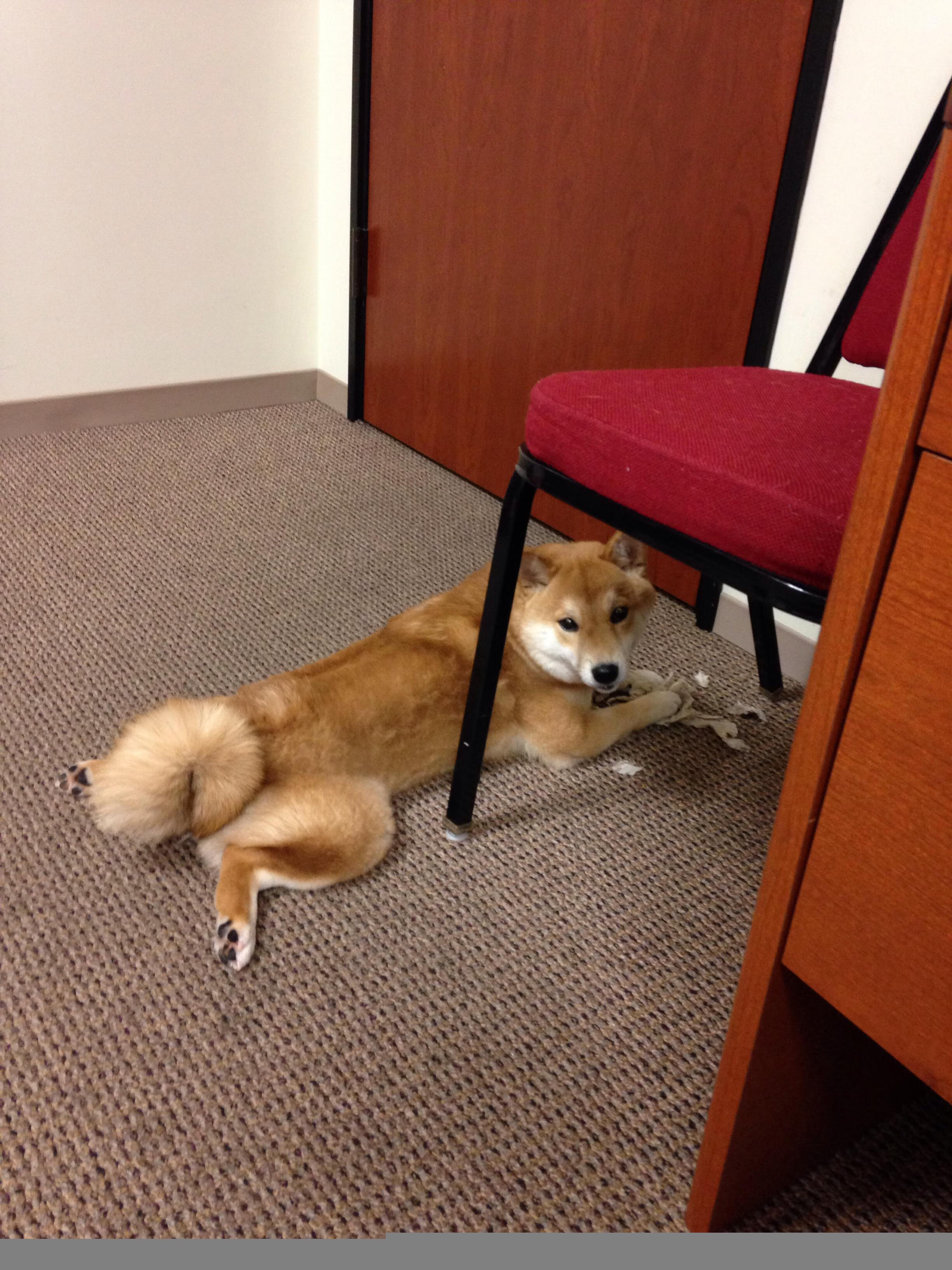 mk体育官网-澳中接力战术博弈 谁赢在转身?,中澳战绩