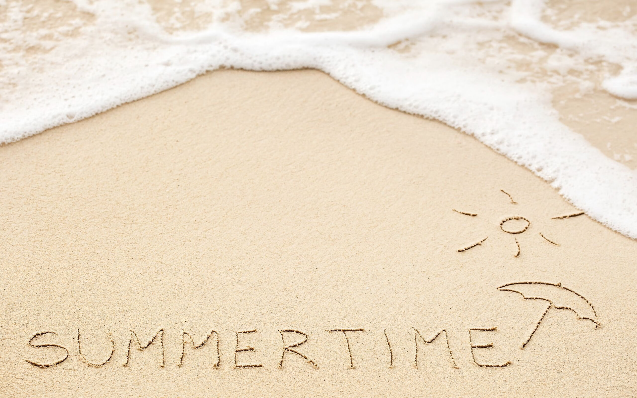 mk体育网址-“萨尔·巴赫如何与南非羚羊队一起重塑橄榄球文化”