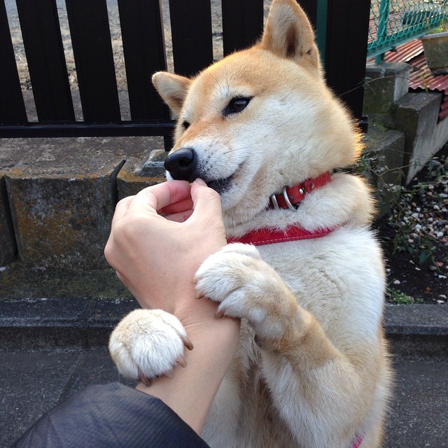 mk体育官网-中国足球青少年项目强化反兴奋剂警示教育,青少年反兴奋剂教育平台