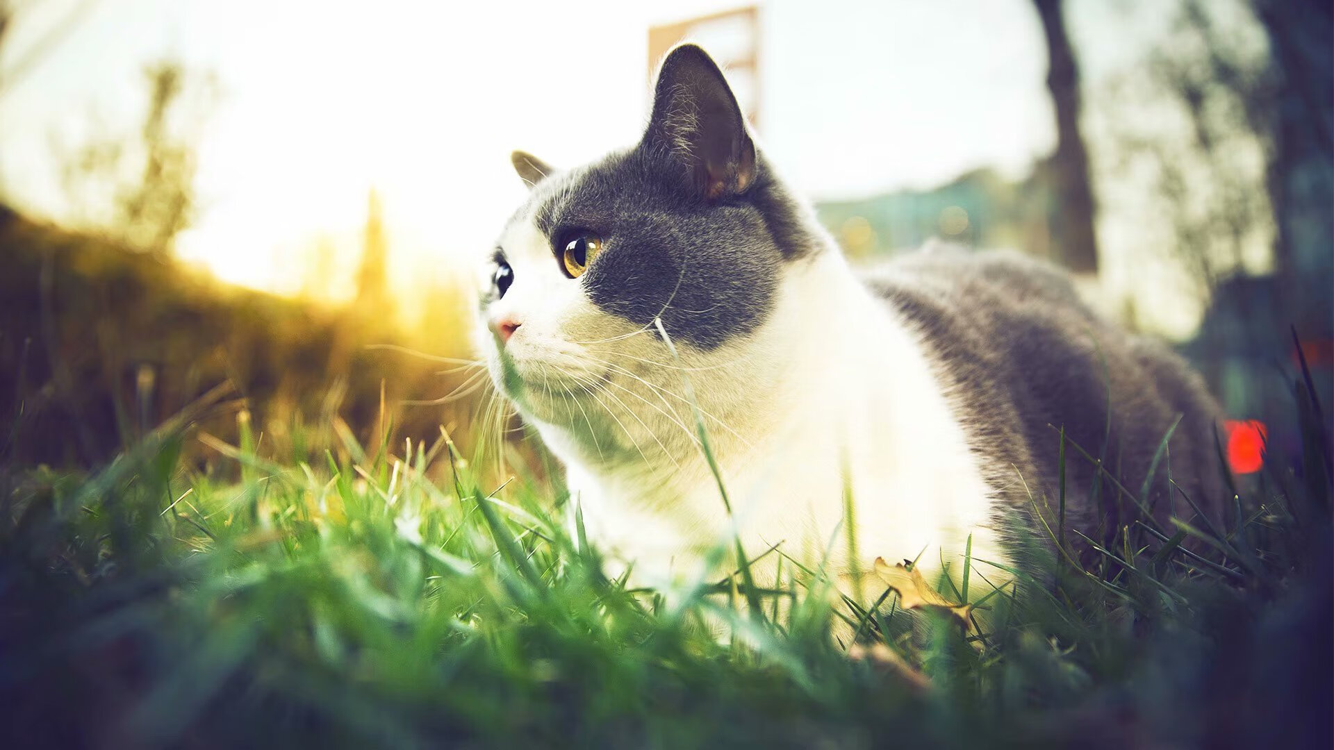 mk体育app下载-乒乓球锦标赛赛况追踪,乒乓球锦标赛冠军