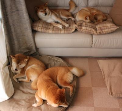 mk体育下载-伊利亚·哈伦突破自我刷新最好成绩，伊利亚特海伦结局