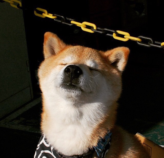 mk体育全站-吉尔吉斯斯坦女篮在欧洲锦标赛中稳步前行,逐渐崭露头角