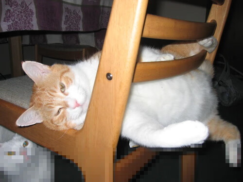 mk体育官网入口-战术安排更加多元化主帅尝试多套方案寻求最佳组合